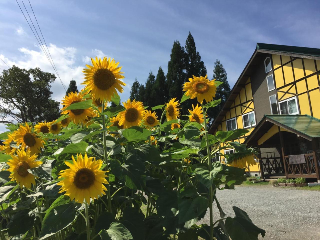 Guesthouse Kinzaza Gujo Exterior photo